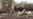 16x9 Image