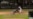Abreu conectó un doble a Chapman