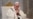 Papa pide solidaridad mundial frente a "desafío de la época"