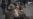 16x9 Image